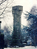 3T1 - Koewacht