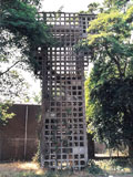 8L3 - Linne