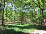 Hooge Vuursche