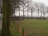 Infanteriestelling tussen Rijnauwen en Vechten