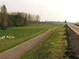 Batterij aan de noorderlijke Lekdijk
