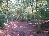 Loopgraven op de Bussumerheide