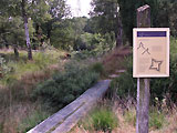Harrevelderschans